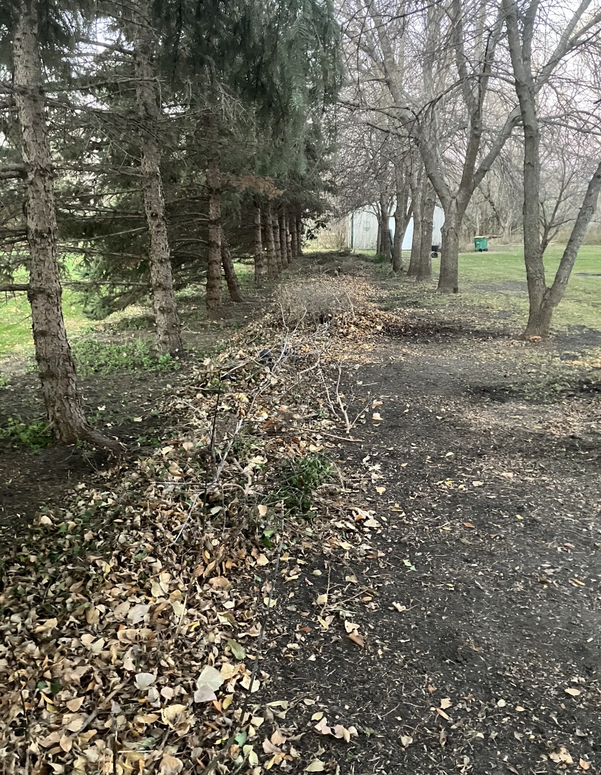 Brush cleanup area