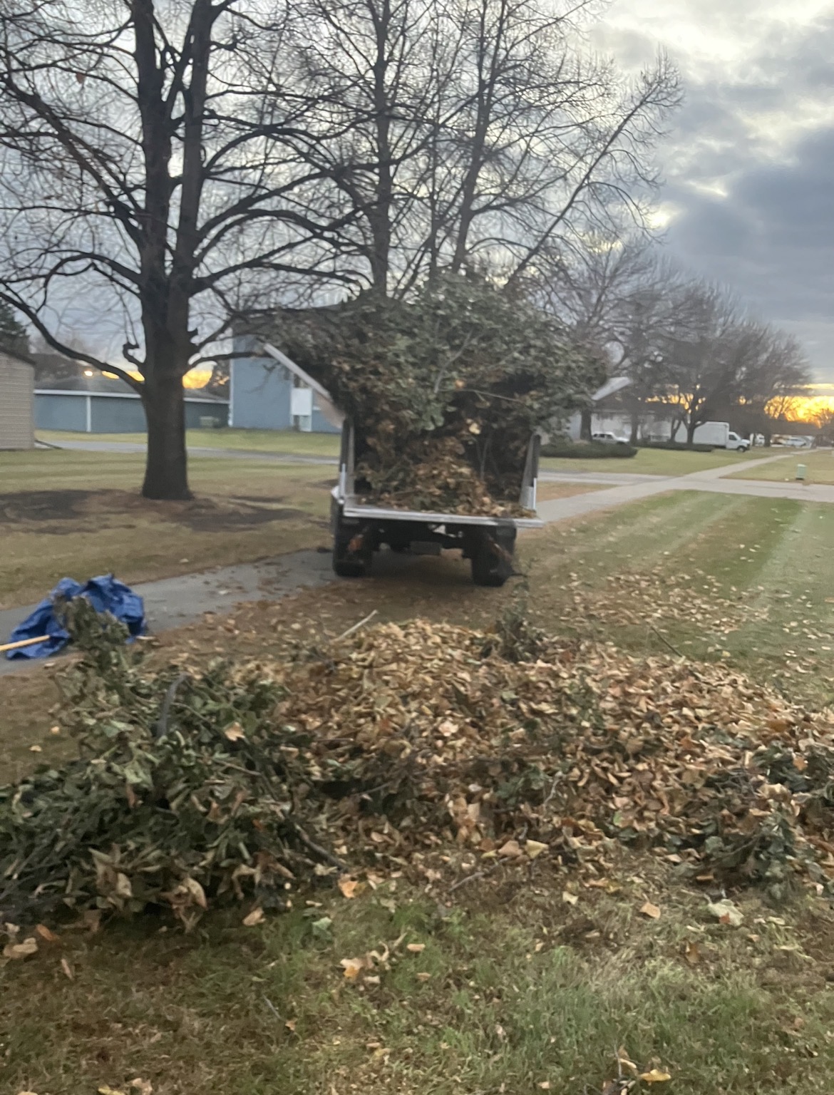 Brush and yard cleanup hauling