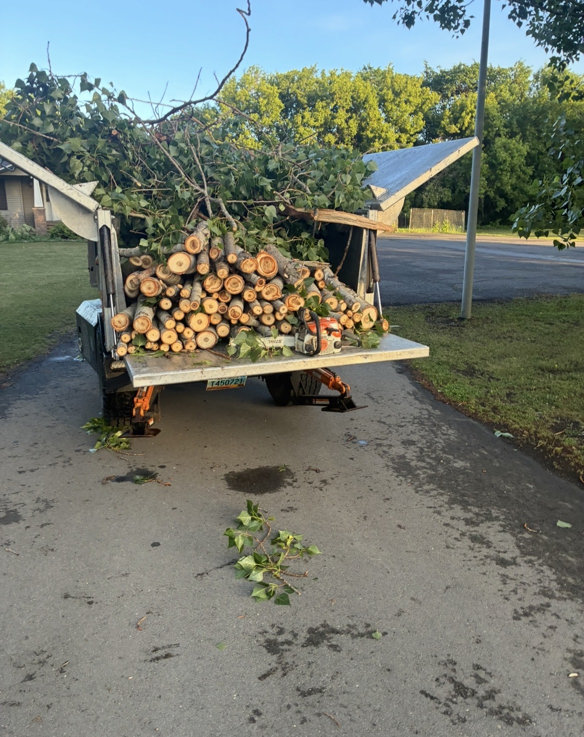 Storm debris hauled