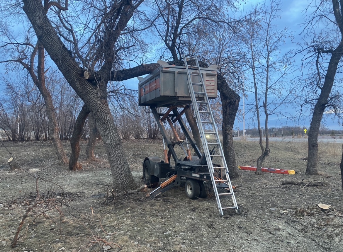Tree trimming work setup