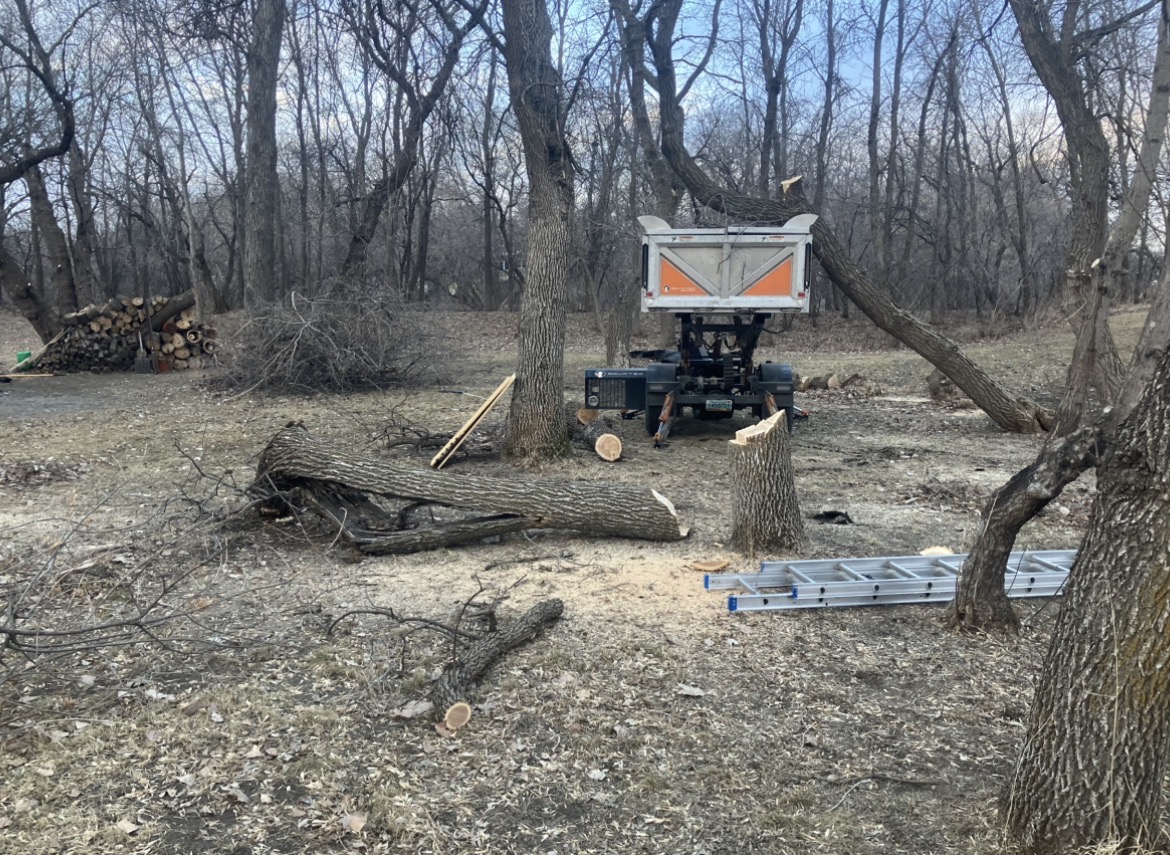 Tree trimming debris