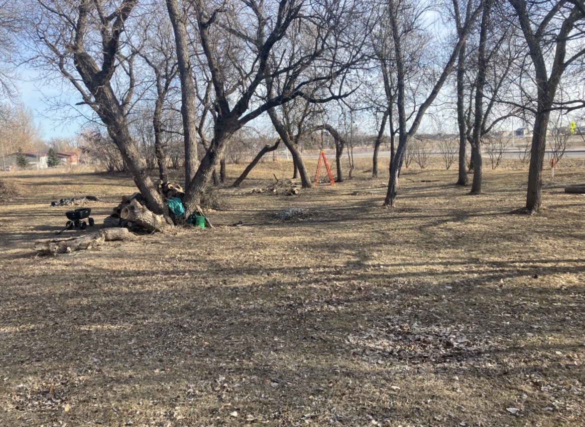 Tree trimming cleanup completed
